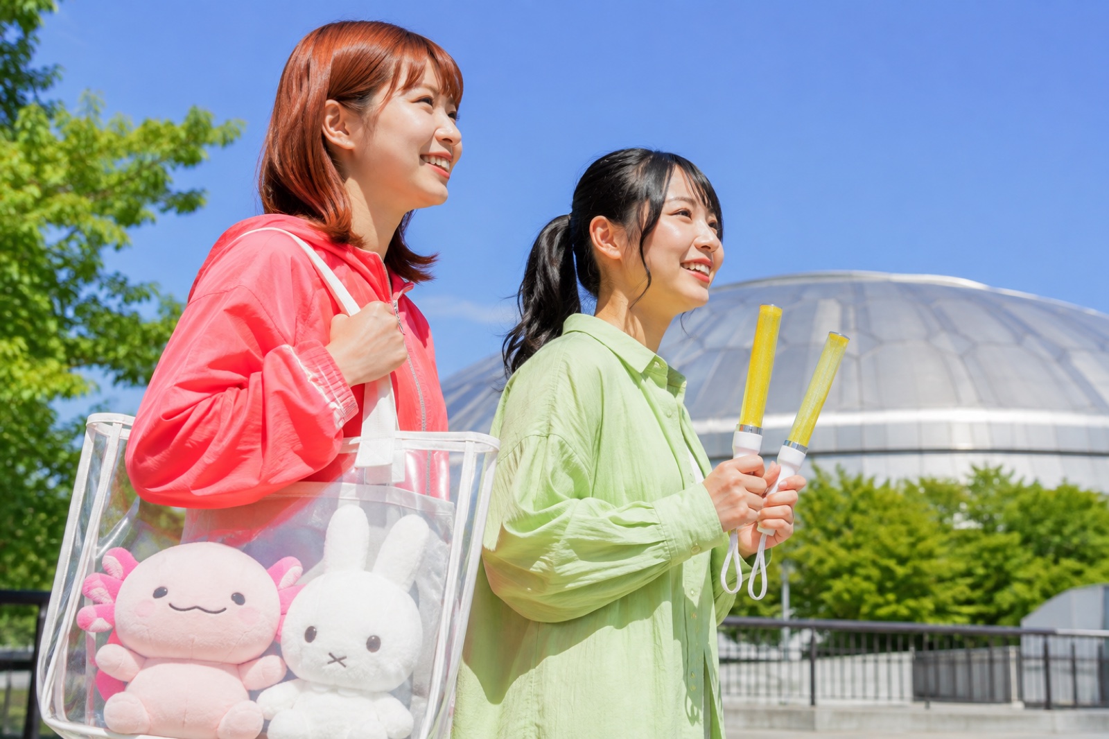 武道館・ドームのイメージ